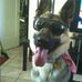 Profile Picture of Linda Timm (@linda.timm.505) on Facebook