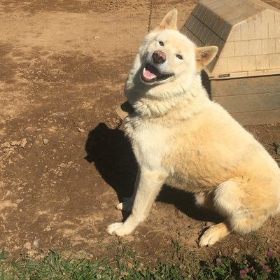 Profile Picture of Steve Wingo (@wingosteve1) on Twitter