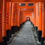 Jason Leavitt - Instagram Profile Picture of Jason Leavitt (@jasongsx) on Instagram