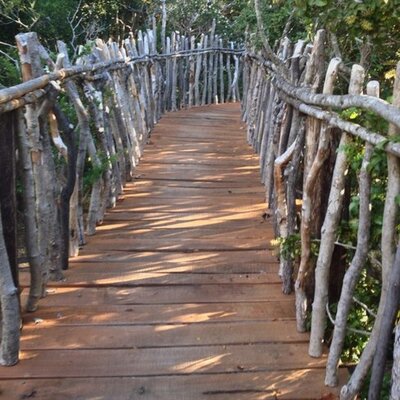 Profile Picture of Fernando Benito T (@ferbetem) on Twitter