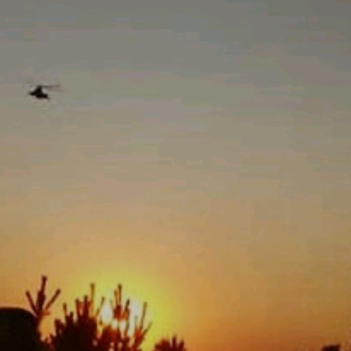Profile Picture of P_I_Z_D_O_*_*_*  LEVEL_98 (@alex_stim_29) on Tiktok