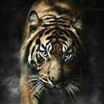Profile Picture of Kim Mayberry (@kim_mayberry_) on Instagram