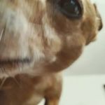 Profile Picture of Jon Welsh (@welsh_irish1972) on Instagram