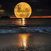 Profile Picture of Steven Keller (@stevenkeller3047) on Youtube