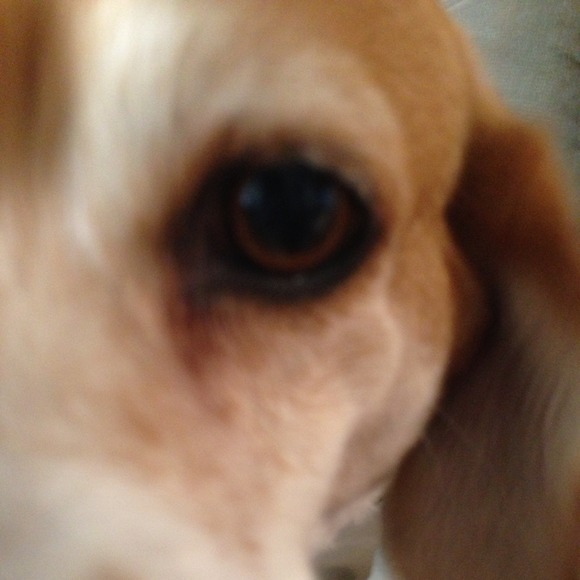 Profile Picture of Tracy Edging (@tedging) on Poshmark