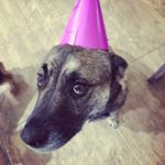 Profile Picture of Rhett Mullins (@thereallee23) on Instagram