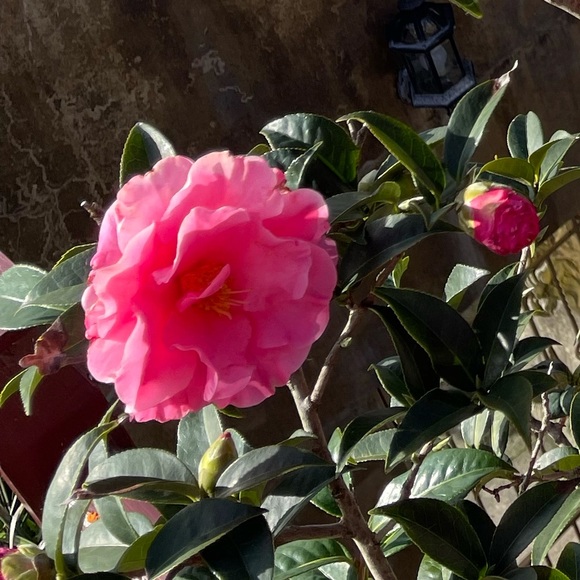 Annabelle Mitchell - Poshmark Profile Picture of Annabelle Mitchell (@annabellemit341) on Poshmark