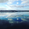 Profile Picture of Bianca (@@bianca.humphreys) on Tiktok