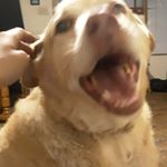 Profile Picture of Cesar Mancinas (@gay_kid_505) on Instagram