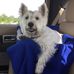 Profile Picture of Michael Shover (@michael.shover.395) on Facebook