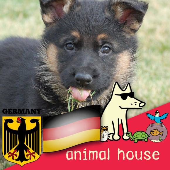 Profile Picture of Micki Hippeli (@micki1781) on Poshmark