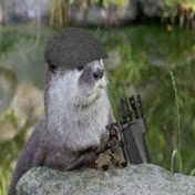 Profile Picture of Steven McCarroll (@stevenmccarroll2105) on Youtube