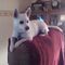 Profile Picture of Susan Piper (@Susan-Piper) on Facebook