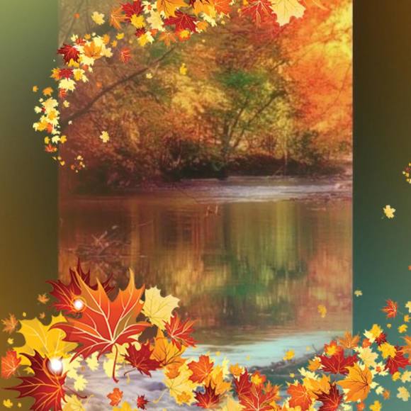 Delia Griffis - Poshmark Profile Picture of Delia Griffis (@mommonroe) on Poshmark