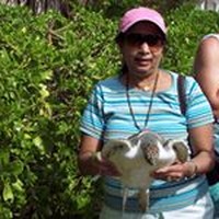 Profile Picture of Neela Shukla (@neela-shukla-1) on Quora