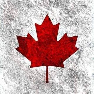 Stefan Bodemann - Facebook Profile Picture of Stefan Bodemann (@stefanbodemann2232) on Facebook