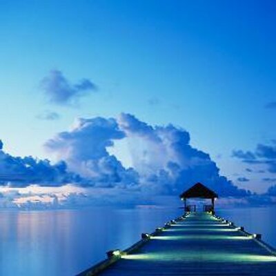 Profile Picture of Luz Borrero (@borrero_luz) on Twitter