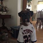 Profile Picture of Peter Rosenthal (@prosenthal1969) on Instagram