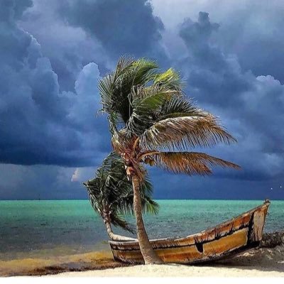 Profile Picture of Joe Power (@joePowe54829205) on Twitter