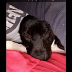 Profile Picture of Skud Castles (@skud.castles) on Facebook