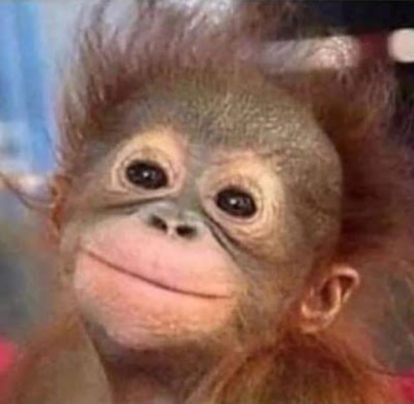 Profile Picture of Bre Debry (@bre_debry) on Poshmark