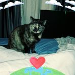 Profile Picture of Jacob Cannon (@Jacob-Cannon) on Facebook