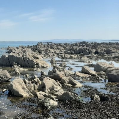 Profile Picture of Edward Gibbons (@GibbonsEdward) on Twitter