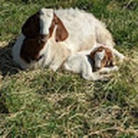 Profile Picture of Sun Walker (@sun-walker-2) on Quora