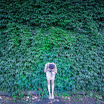 Profile Picture of Micol S. (@micol s.) on Flickr