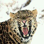 Profile Picture of Jonathan (@joni_sepi_somme_freunde) on Instagram