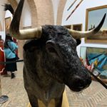 Profile Picture of Brendan Rigby (@brendanrigby12) on Instagram