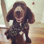 Profile Picture of Toby Todd (@tobytodd16) on Instagram