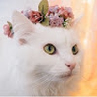 Profile Picture of Hannah Streeter (@hannah-streeter-13) on Quora