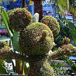 Profile Picture of Chris Dolan (@chris_dolan_photography) on Flickr