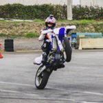 Profile Picture of Alex Fasolin (@alexfasolin) on Instagram