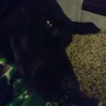 Profile Picture of Jordan Kaiser (@cr42h3d) on Instagram