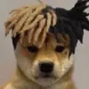 Profile Picture of John_Plin$♓️ (@john_plin) on Tiktok