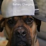 Profile Picture of Addie Jones (@adelyn.jones) on Instagram