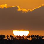 Profile Picture of Garrett Oliver (@garrett.oliver) on Instagram