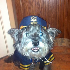 Profile Picture of Nicola Farrell Fengstad (@nicolabff1979) on Pinterest