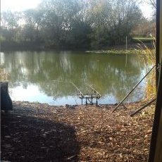 Profile Picture of Mark Phair (@phair_mark) on Twitter