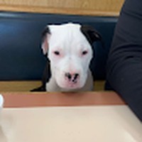 Brandon Hyden - Quora Profile Picture of Brandon Hyden (@brandon-hyden-4) on Quora