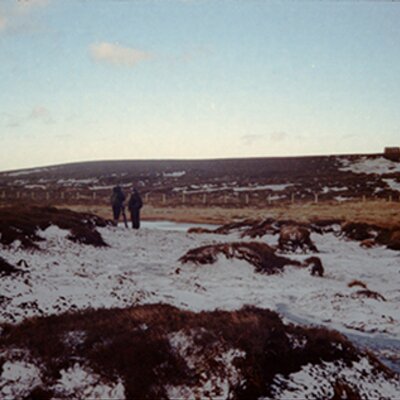 Profile Picture of Laura Harrington (@LCSHarrington) on Twitter