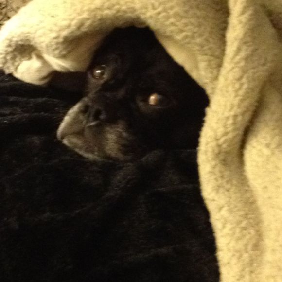 Profile Picture of Jeannine Kocis (@jeannine1022) on Poshmark