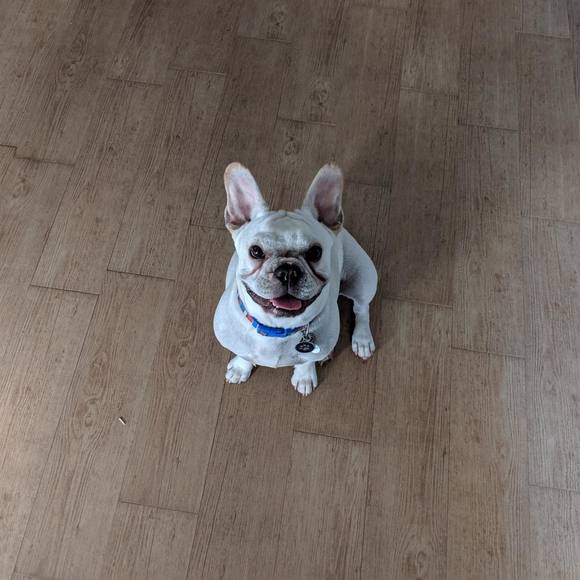 Profile Picture of Nancy Bowen (@nrbowen) on Poshmark