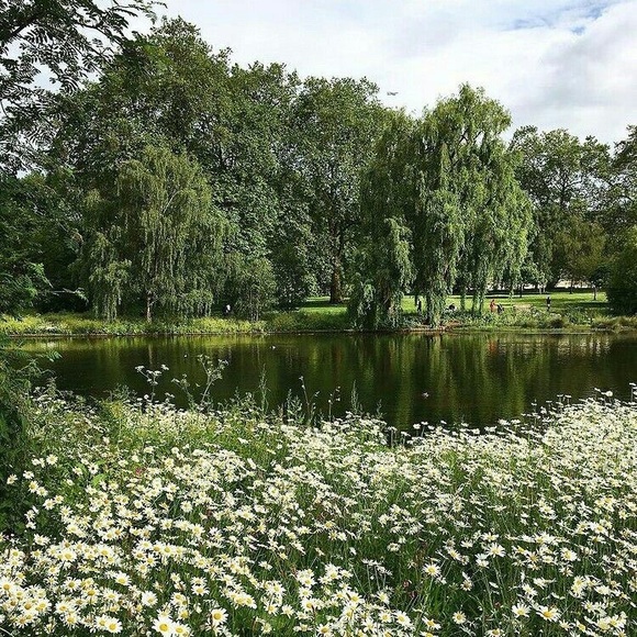 Profile Picture of Brianne Corris (@sxpops) on Poshmark