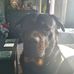 Profile Picture of Carl GrahamHassall (@Carl-Graham-Hassall) on Facebook