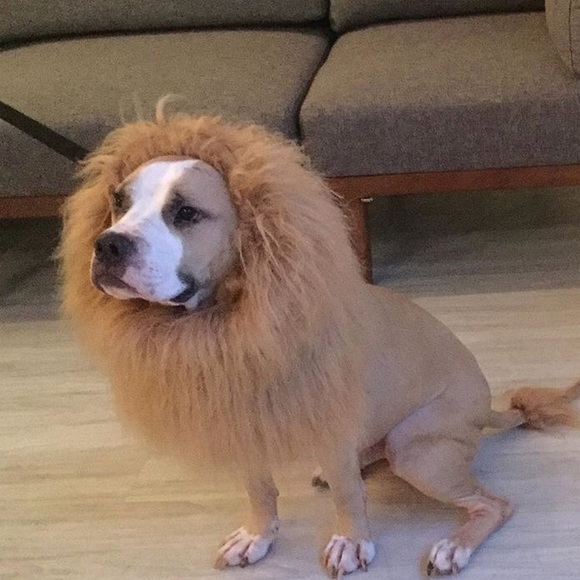 Profile Picture of Anna Raeman (@annaraem) on Poshmark