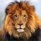 Profile Picture of Leo Howell (@Leo-Howell) on Facebook