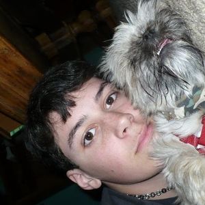 Profile Picture of Nicolas Campbell (@niccampbe11) on Myspace